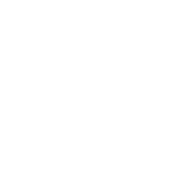 st_services_overlay.png