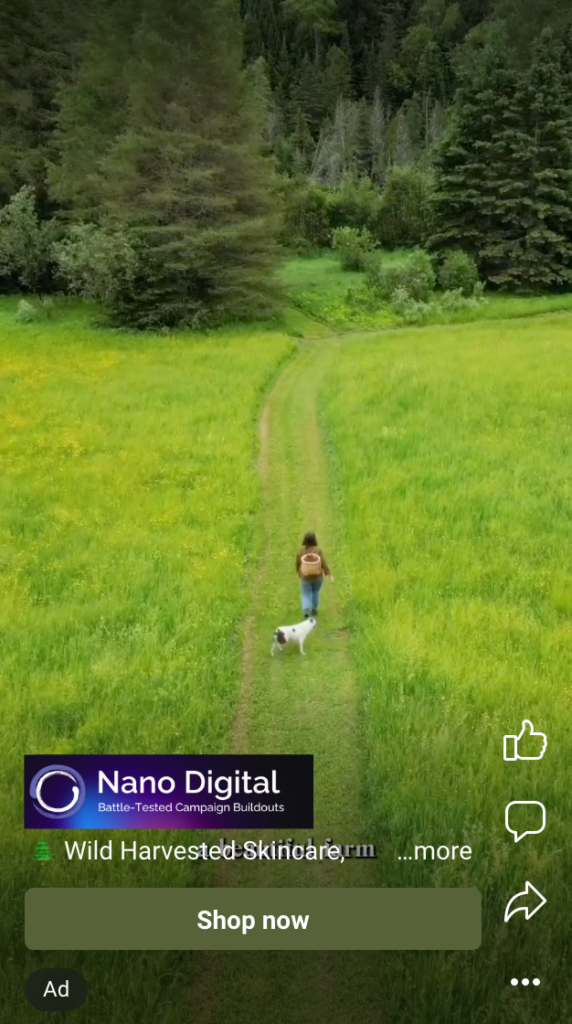 4.NanoNicheIndustryDigitalMarketing